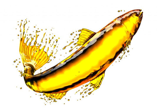 A study of Cod Liver Oil manufacturing processes showing that Fermenting is superior to heating or chemical extraction and the end product has superior antioxidants meaning the Omemat 3's keep better over time. 